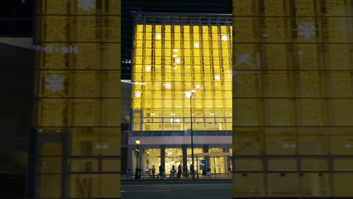 夜の街をアルキマショウ / Japan's nightlife district  #shorts