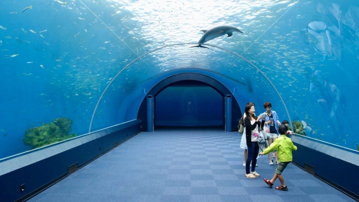 HOT NEWS Yotsukaido 2017 Best Of Yotsukaido Japan Tourism