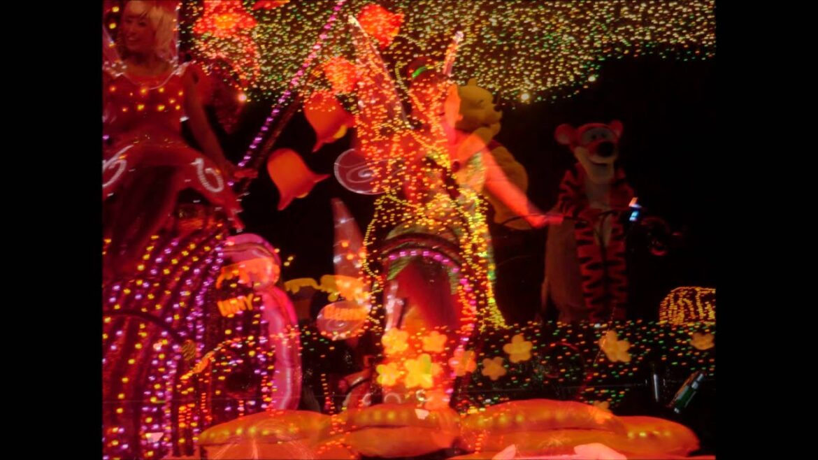 Trip to Tokyo Disneyland and Hawaiian Center