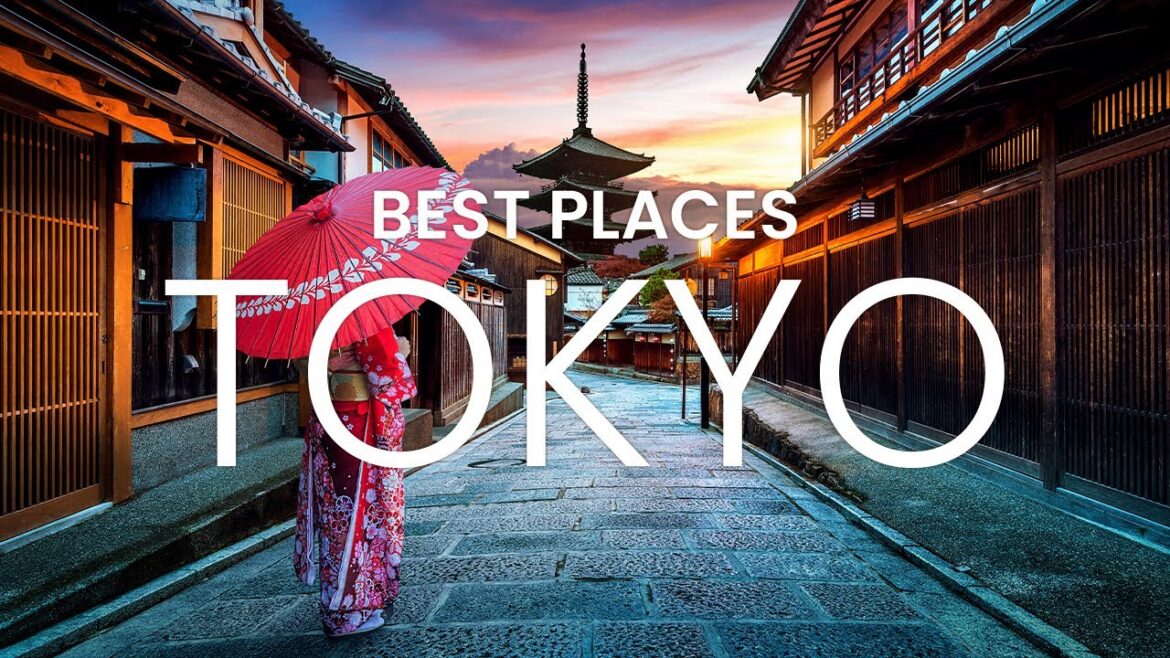 Best Places to Visit in Tokyo Japan | Tokyo Japan Vlog 2023 | Things to See in Tokyo Japan
