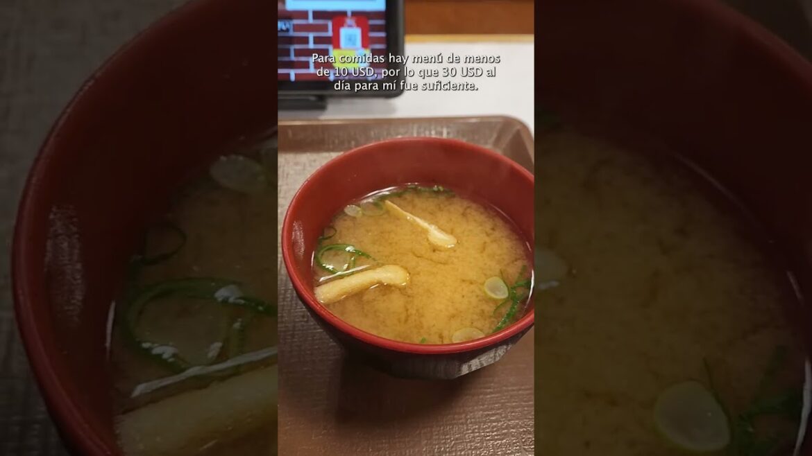 ¿Cuánto cuestan 2 semanas en Japón? ¿Cuánto cuestan 2 semanas en Japón?