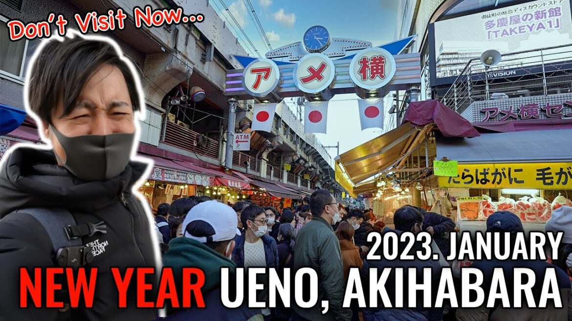 First Time New Year after Pandemic, Crazy Ameyoko and Akihabara, YAKINIKU Restaurant for Solo Ep.381 First Time New Year after Pandemic, Crazy Ameyoko and Akihabara, YAKINIKU Restaurant for Solo Ep.381