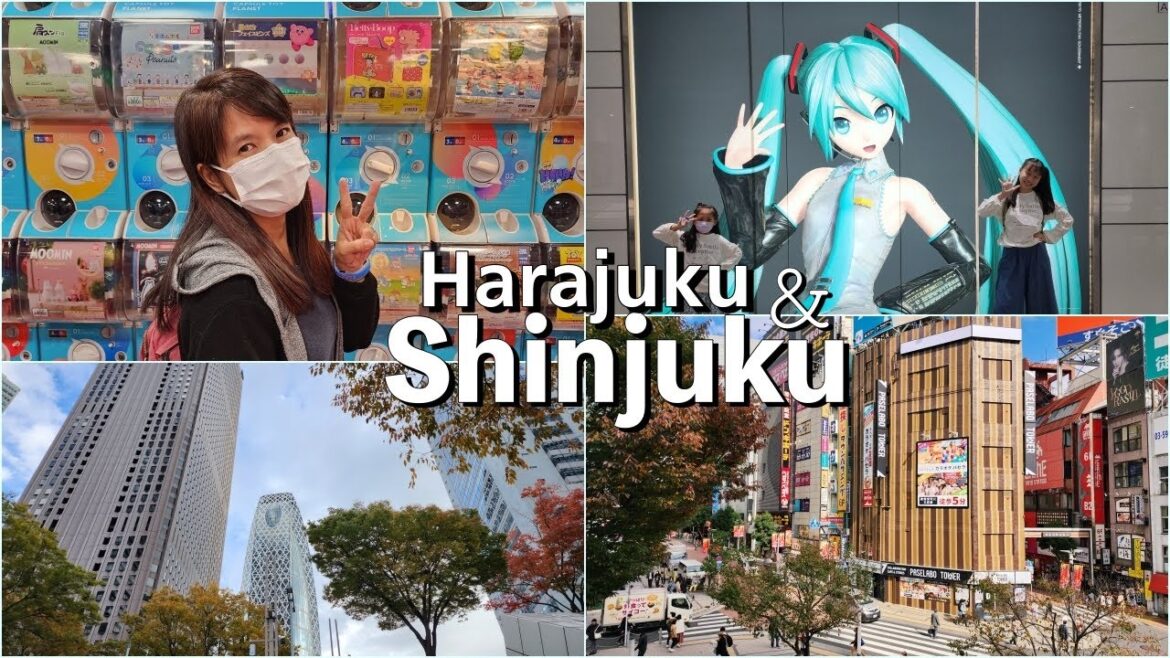 เดินเล่น Shinjuku - Harajuku  พัก Hyatt Regency Tokyo... Japan Trip