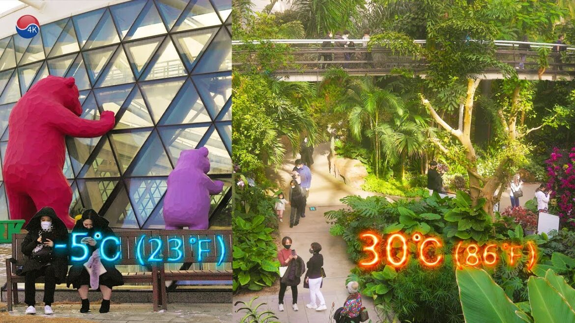 마곡 서울식물원 외부 -5℃ 빙판길, 실내 30℃ 한여름 숲속길 산책,서울트래블워커