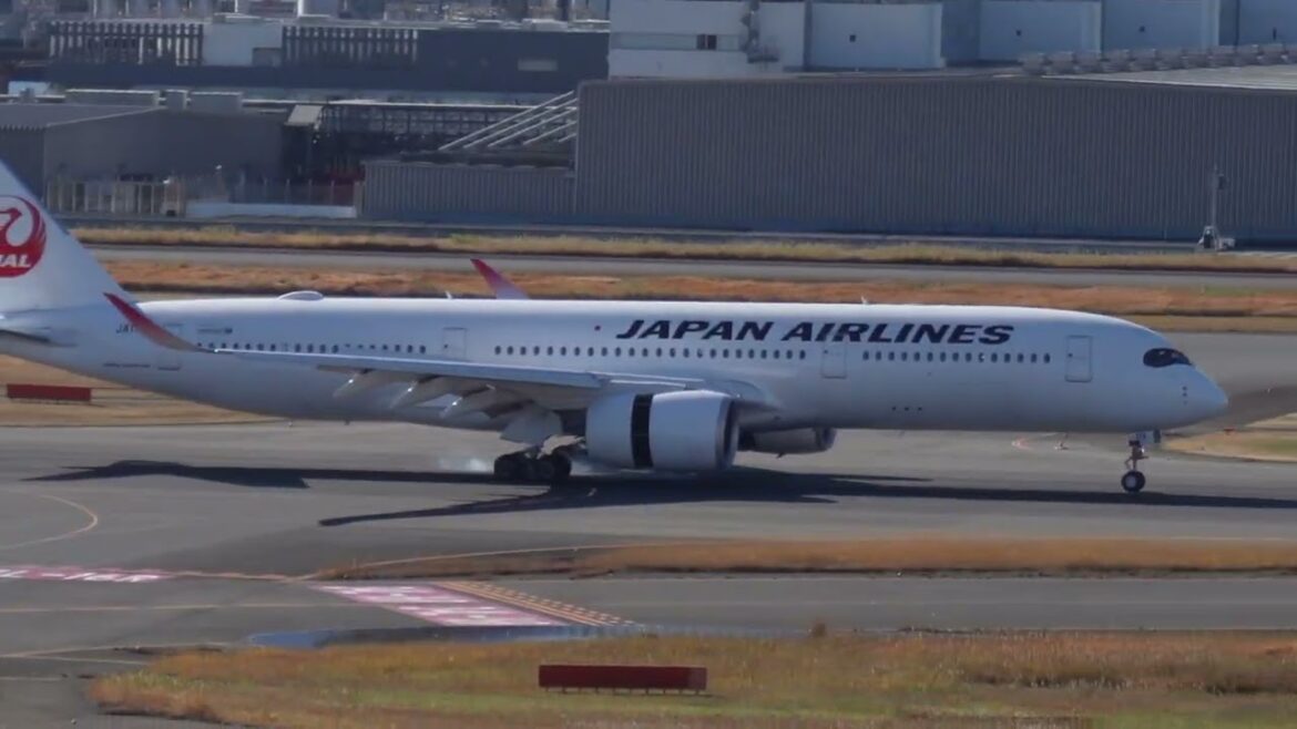 Airbus A350-900 Landing in Tokyo | Japan Airlines | Sapporo to Tokyo