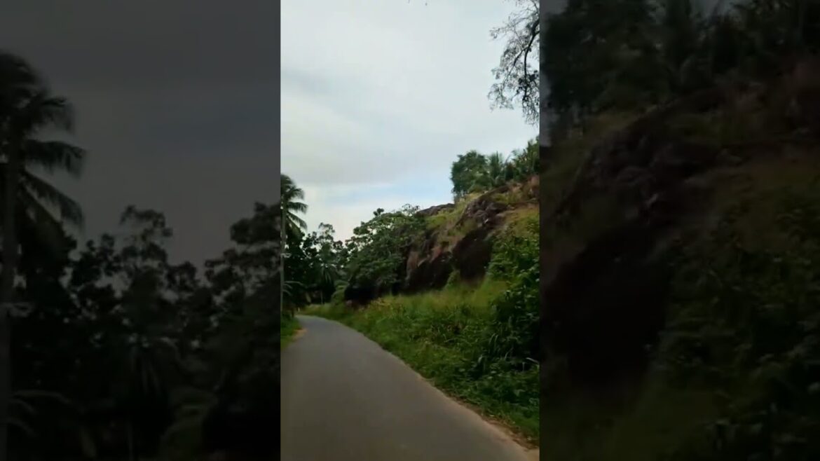 Mountainous environment with cold weather and harsh rock formations ❤️😍 #shorts #vairalvideo #travel Mountainous environment with cold weather and harsh rock formations ❤️😍 #shorts #vairalvideo #travel