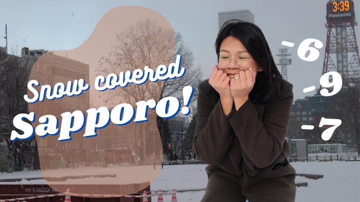 Snowy Sapporo in January (sobrang lamig!) + Chitose Mall vlog | jamimoyvlogs