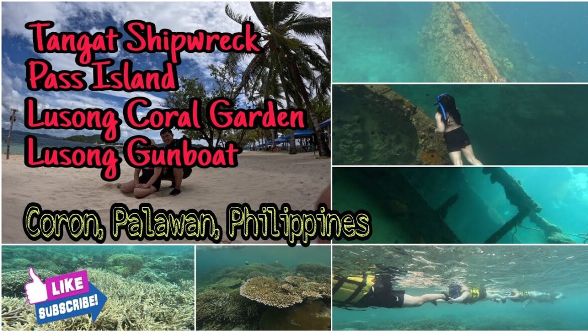 Coron Reefs & Shipwrecks I Be amazed with one of the most beautiful coral gardens in the Philippines