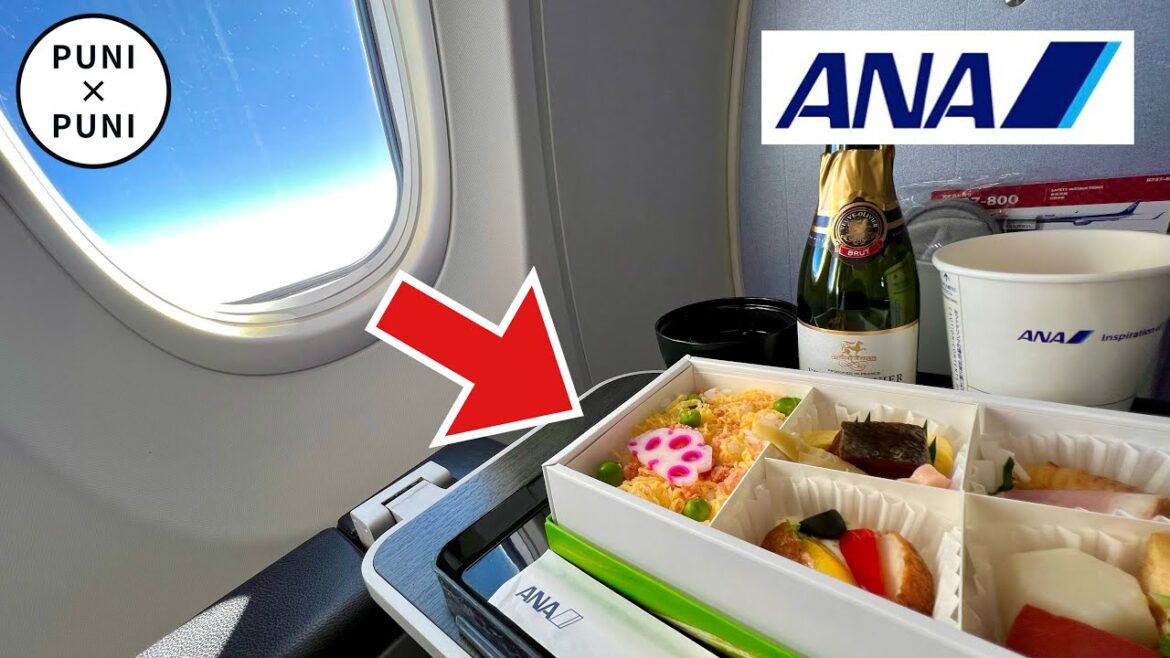 Boarding the Most Luxurious Seats on ANA Domestic Flights😆🛫💺|. premium class Japan