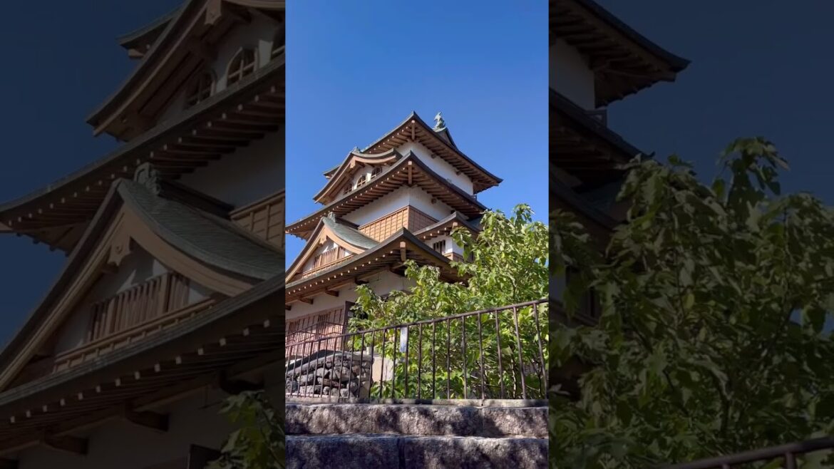 【お城】諏訪高島城と高島公園(長野) / Travel to Nagano #shorts