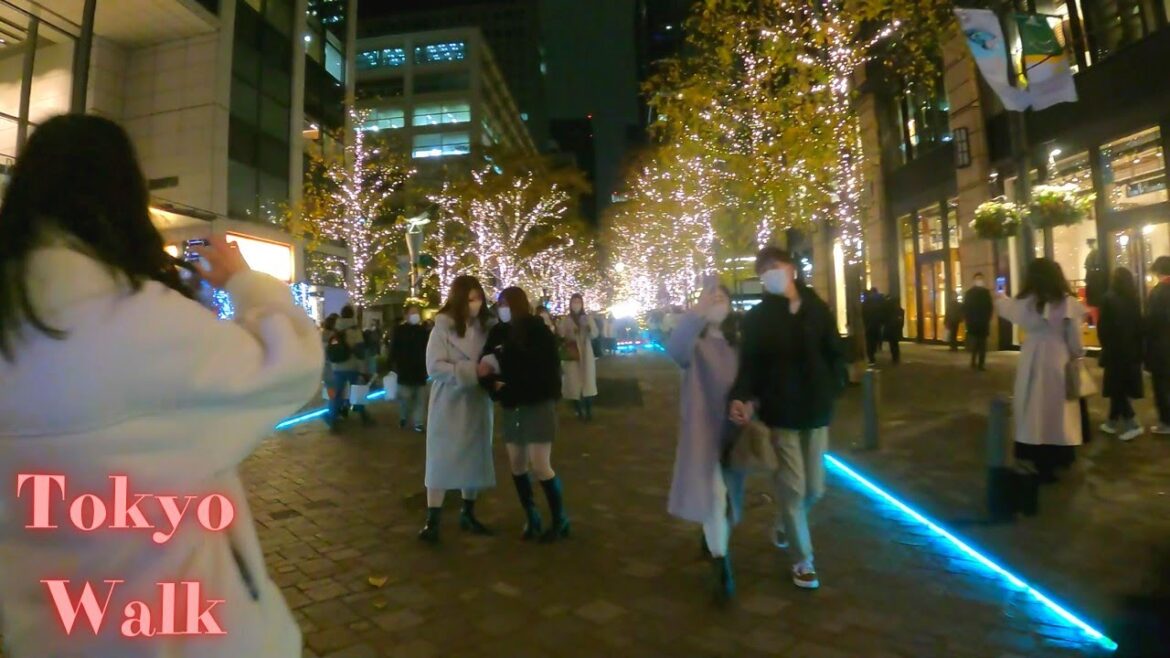 Tokyo walking tour. 【4K】12.2022