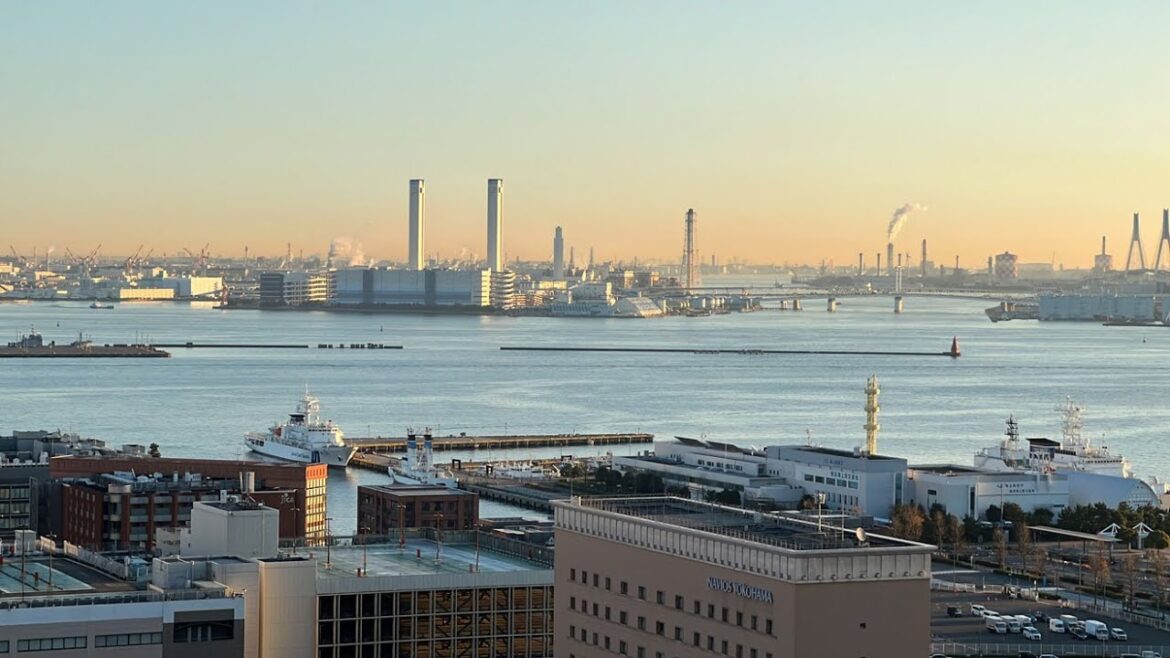 🔴Live Cam Yokohama Japan /横浜汽車道Live赤灯台カメラ 4 Jan 2023 🔴Live Cam Yokohama Japan /横浜汽車道Live赤灯台カメラ 4 Jan 2023