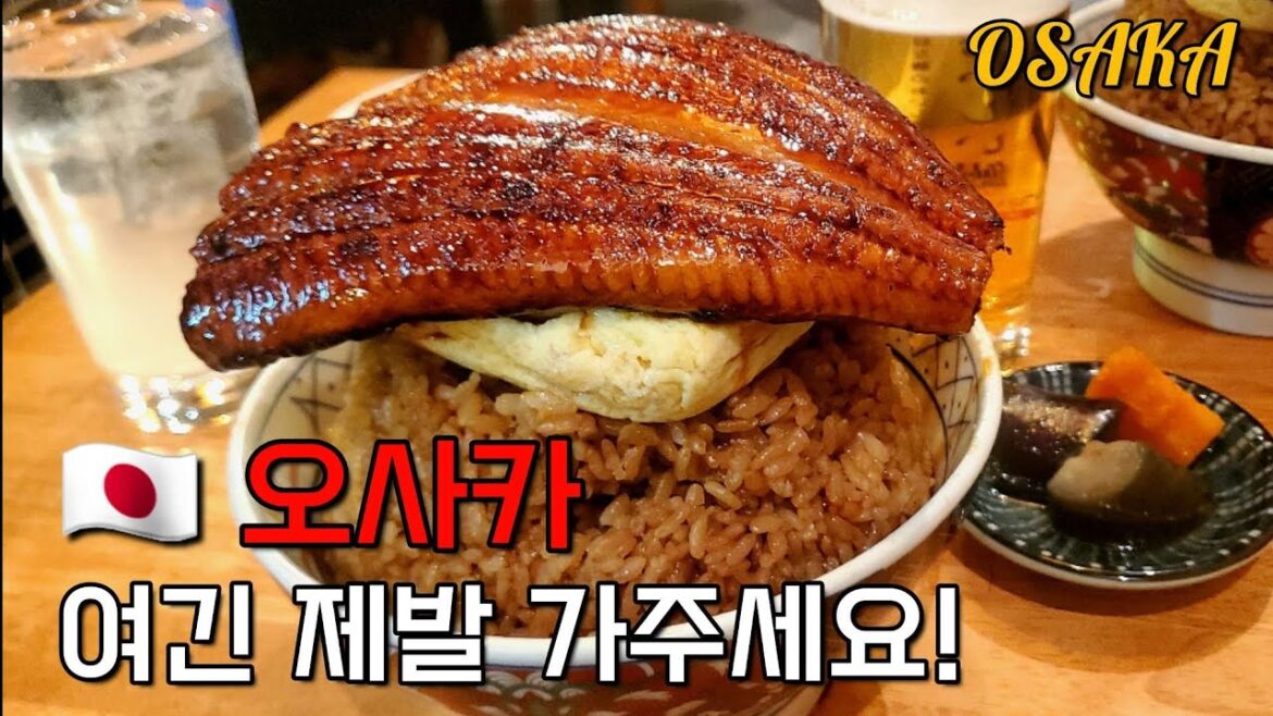 🇯🇵 [오사카여행] 장어덮밥의 성지를 찾았습니다 l 오사카 맛집 l 오사카 브이로그