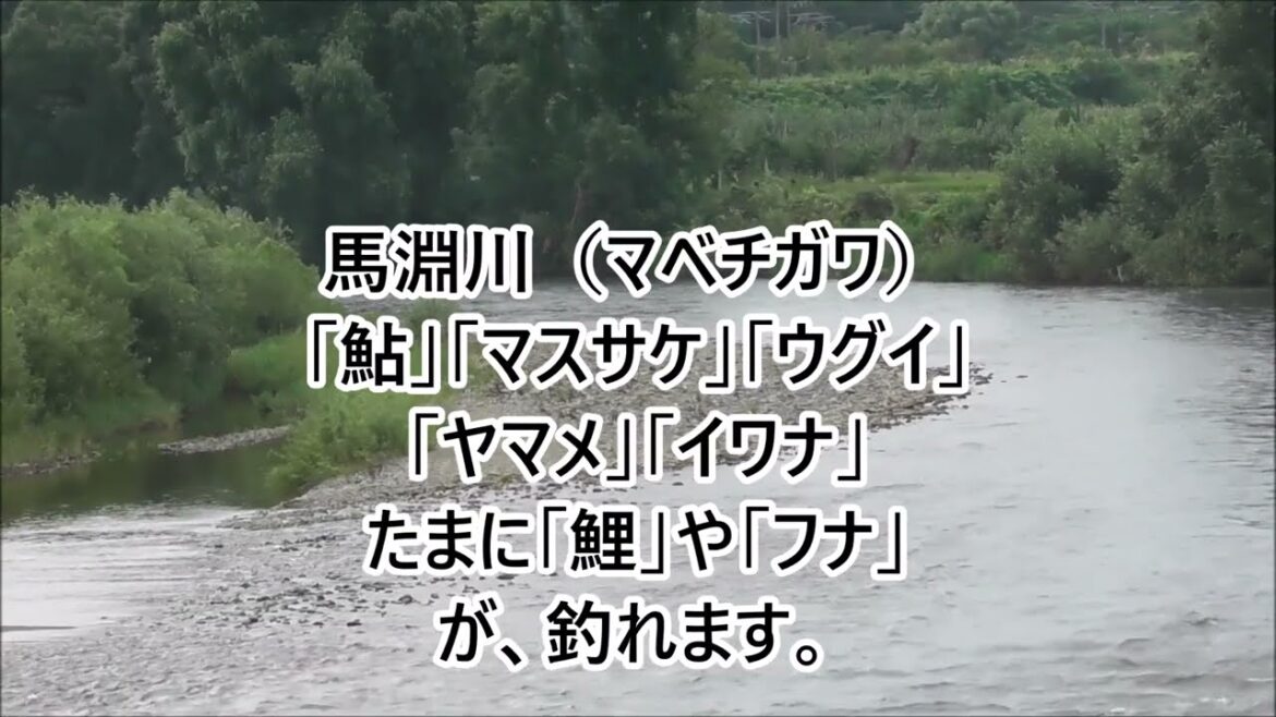 โฎ๐ก ๆใใใใใตใใใจใฎ ใๆฏ่ฒใ ๐ถ โฎ๐ก ๆใใใใใตใใใจใฎ ใๆฏ่ฒใ ๐ถ