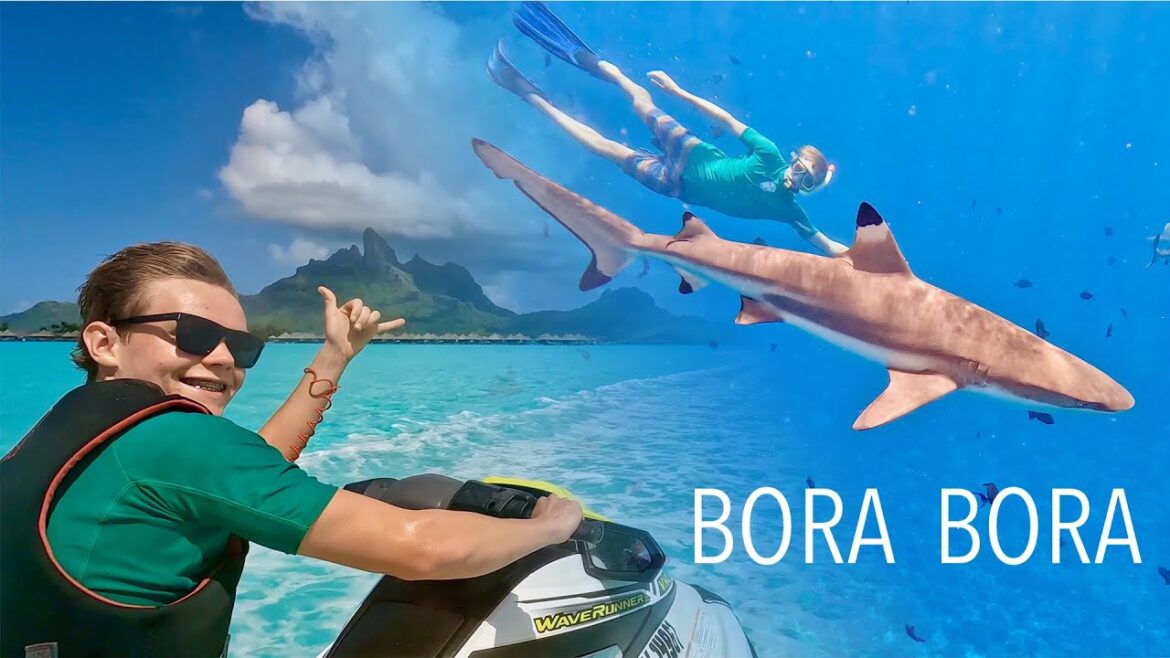 BORA BORA ISLAND | Travel highlights on land, at sea and in the air BORA BORA ISLAND | Travel highlights on land, at sea and in the air