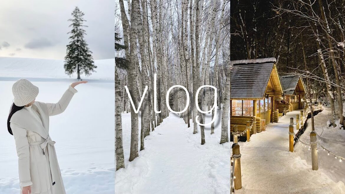 [🇯🇵여행vlog] #1 홋카이도 겨울여행, 오타루, 닝구스 테라스, 비에이 준페이, 탁신관, 흰수염 폭포, 크리스마스 나무, 징기스칸 맛집, 비에이 투어