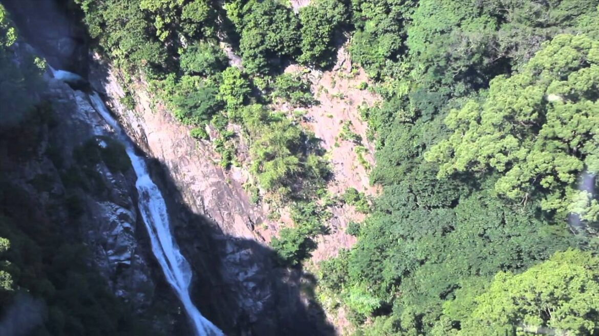 UHM Study Abroad 2011 Kobe