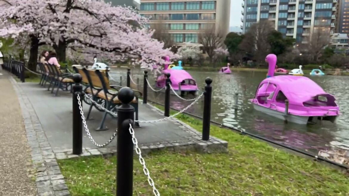 [4K] SHINOBAZU POND | Ueno Park | Tokyo Walking Tour