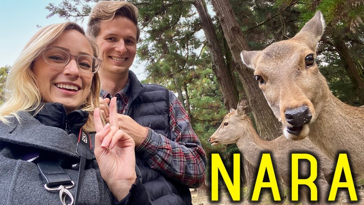 NARA surprised us! (12 things to do in Japan's original capital) NARA surprised us! (12 things to do in Japan's original capital)