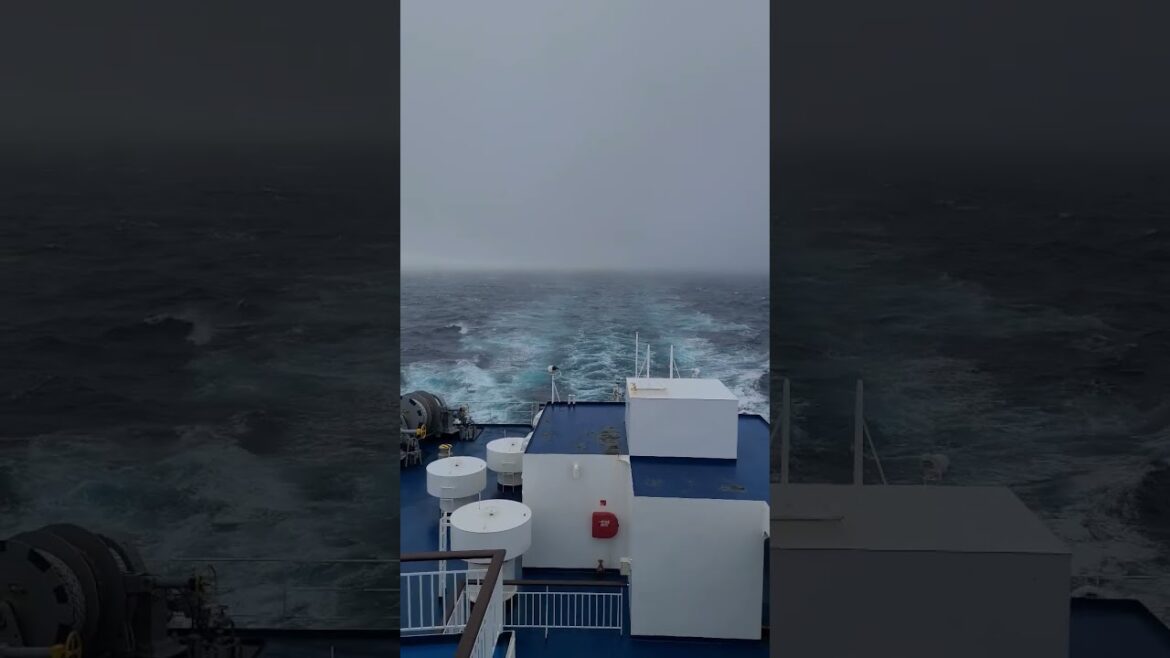 フェリー旅 Ferry Cruise for North Japan #船旅 #trip #shorts