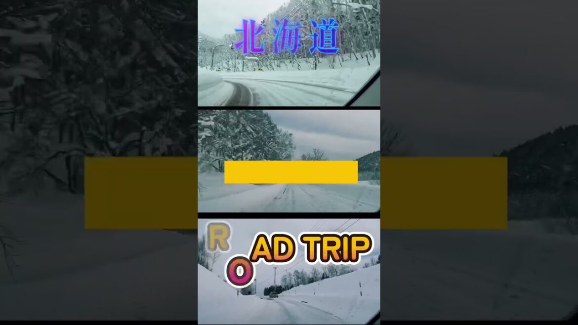 The Best Road Trip 🚘 | Driving In Snow #shorts #travel #roadtrip #trending #hokkaido #japan