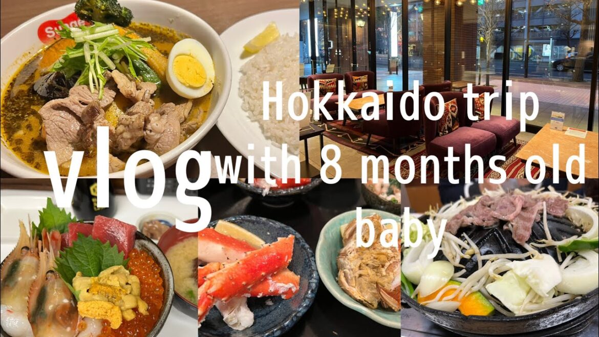 【旅行vlog】2泊3日北海道旅行✈️|ジンギスカンふくろう亭|小樽と開陽亭のカニ🦀|すあげ+スープカレーを堪能☃️8か月ベビーも👼