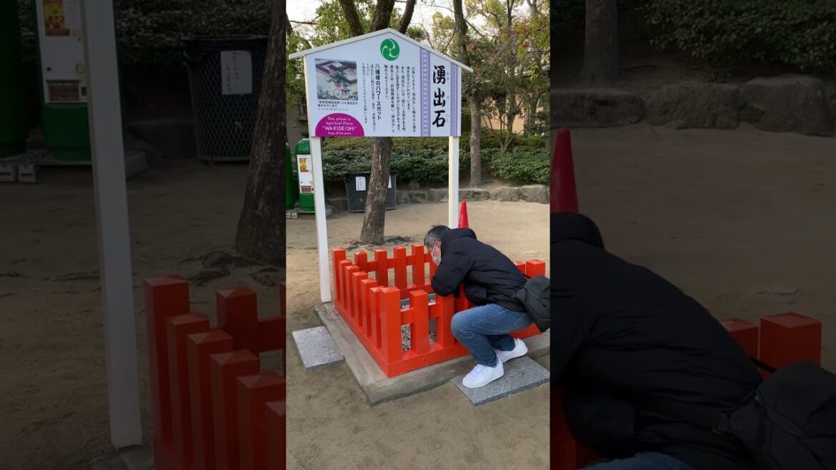 2023年 ⛩️初詣「筥崎宮」鳩みくじがアツイ✨