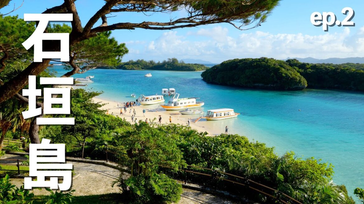 【石垣島】石垣の海の凄さにビビりまくりの観光が始まった!!|川平湾|底地ビーチ|米原ビーチ|ドライブ|田舎暮らし|沖縄県|4K 【石垣島】石垣の海の凄さにビビりまくりの観光が始まった!!|川平湾|底地ビーチ|米原ビーチ|ドライブ|田舎暮らし|沖縄県|4K