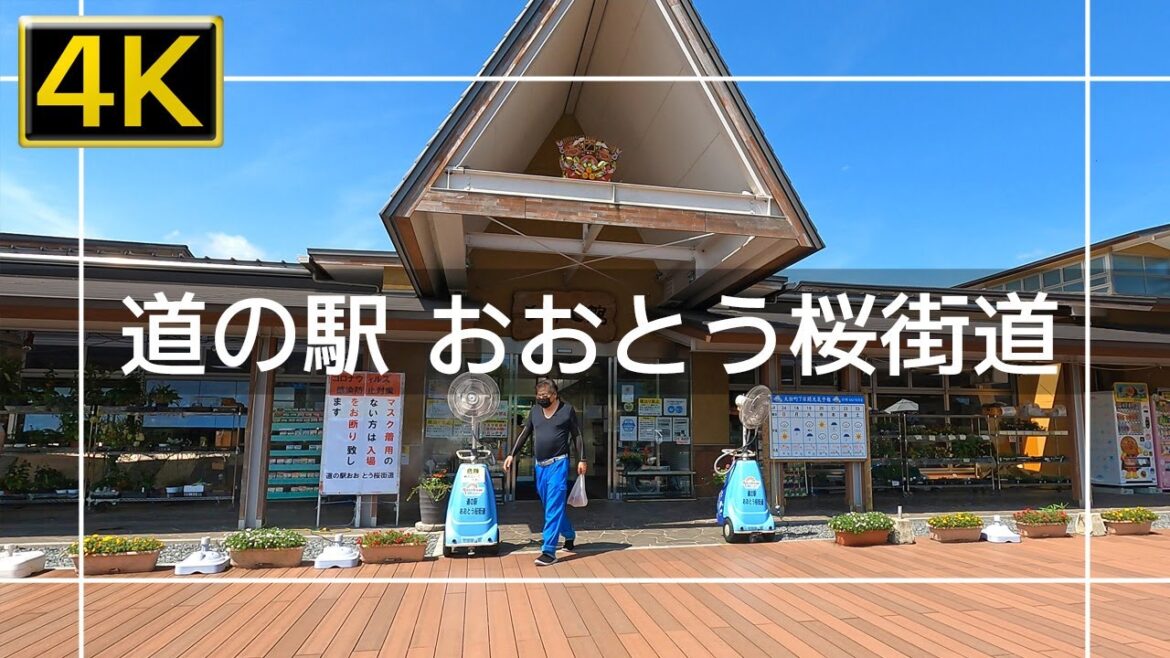 【2022年7月】田川郡大任町の道の駅おおとう桜街道を歩いてみた【4K】