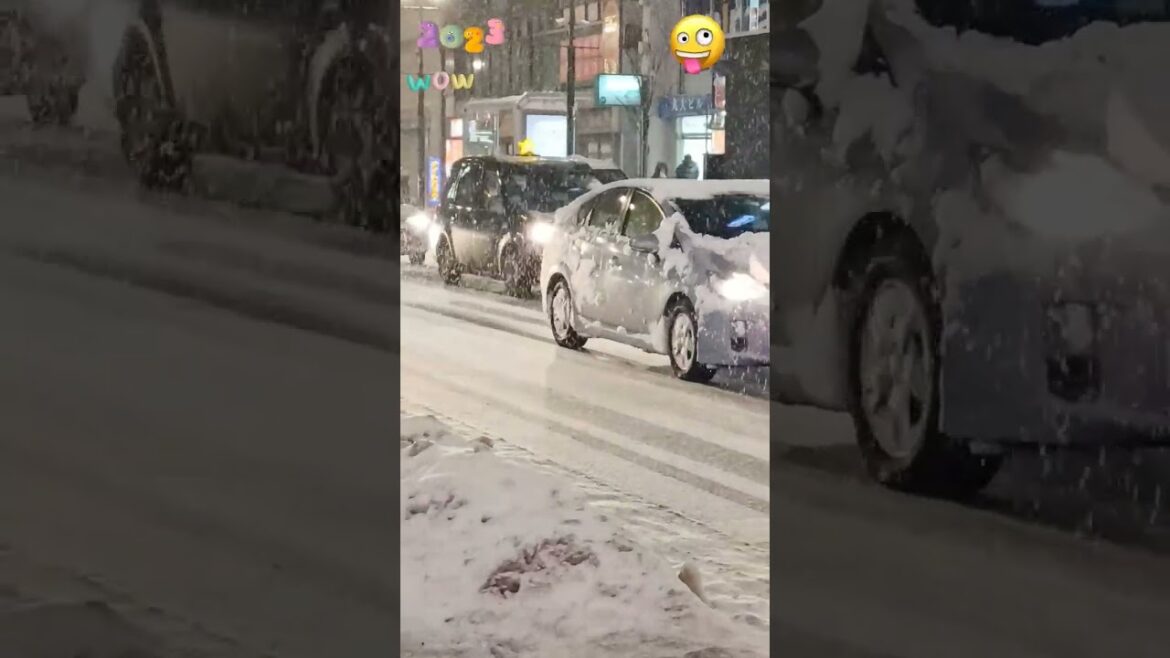 IS IT SNOWING HEAVILY  IN SAPPORO, HOKKAIDO? #shorts #short #shortsvideo  #shortvideo