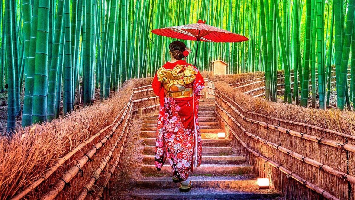 Arashiyama Bamboo Grove – Kyoto, Japan | Educational Travel Video Arashiyama Bamboo Grove - Kyoto, Japan | Educational Travel Video