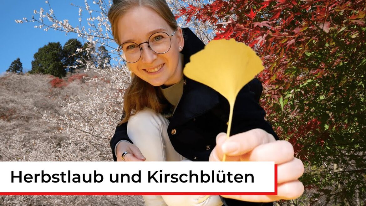 Zwischen Ahorn, Ginko und Kirschblüten – Herbst in Japan | Präfektur Aichi | Japan mal Anders Zwischen Ahorn, Ginko und Kirschblüten - Herbst in Japan | Präfektur Aichi | Japan mal Anders