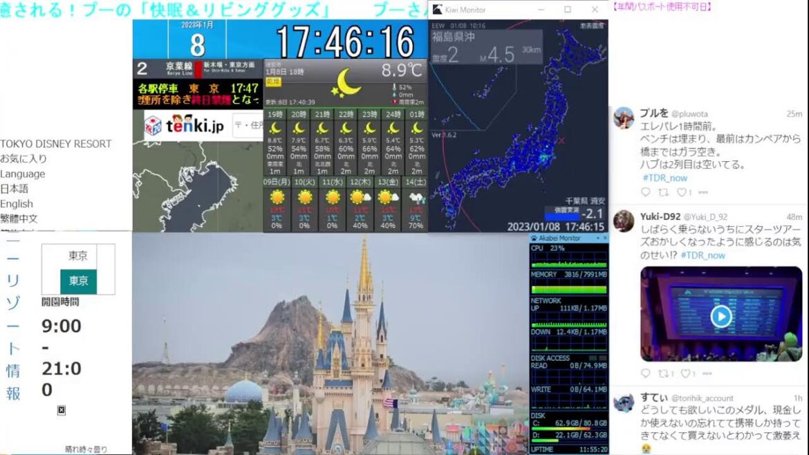 【 ディズニーライブカメラ  DisneyLiveCam 】 ディズニー・ライト・ザ・ナイト ライナイ 花火 舞浜 浦安 天気 地震 鉄道 飛行機 現地情報 ディズニーランド ディズニーシー