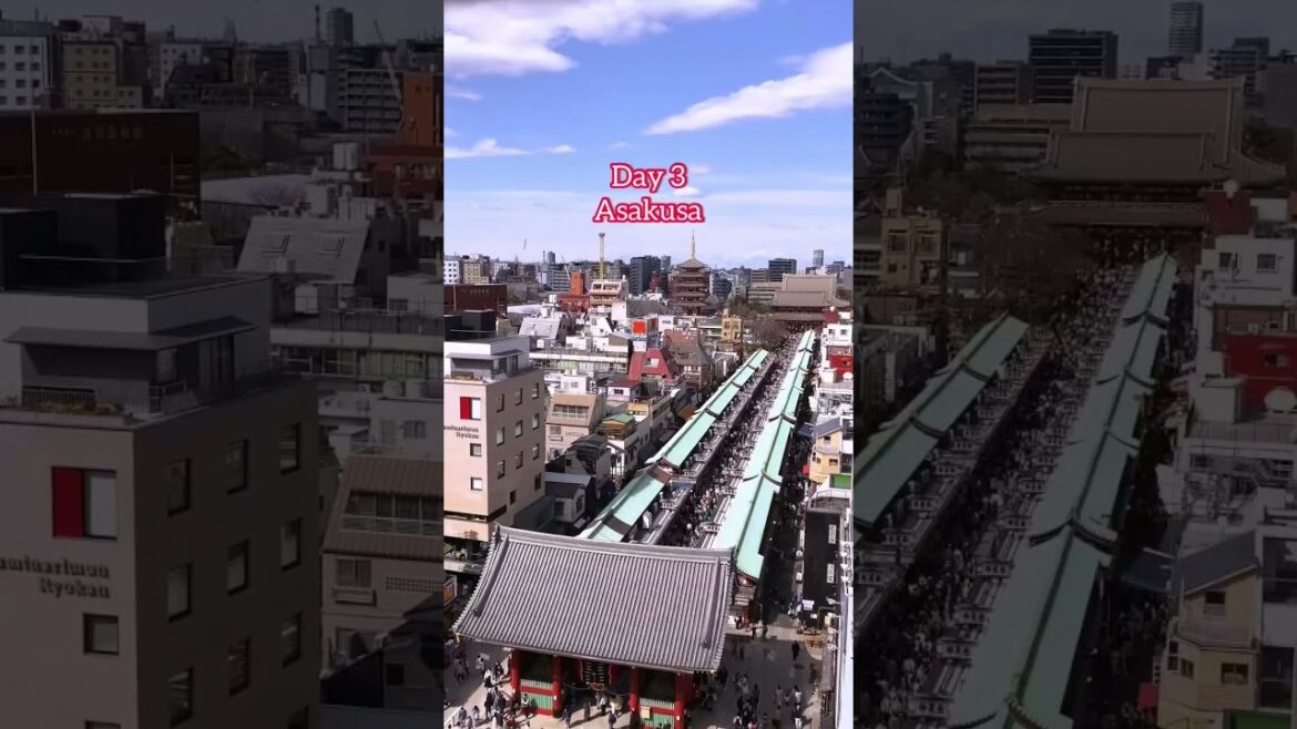 The perfect trip to Japan #shorts #japan #travel #itinerary