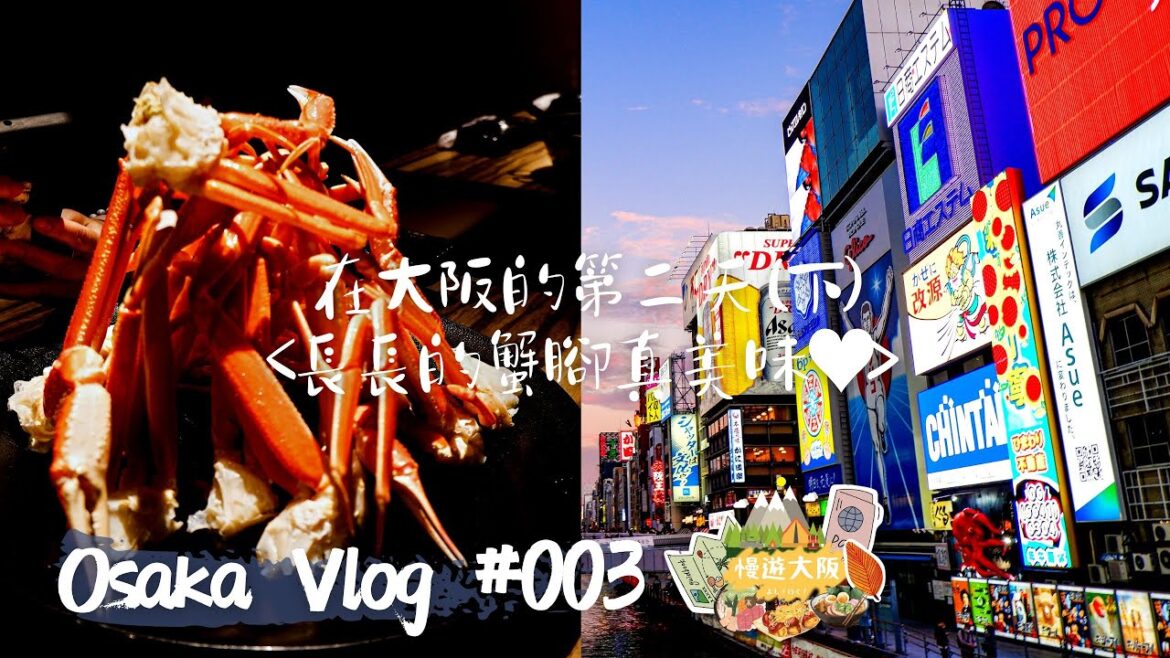 【大阪·關西】堪稱大阪秋葉原的日本橋|道頓崛1.5小時長腳蟹放題|大阪光之饗宴|原隻章魚在舌尖跳舞的豪氣章魚燒|Running in OSAKA|EP3|MEH MEH Production 【大阪·關西】堪稱大阪秋葉原的日本橋|道頓崛1.5小時長腳蟹放題|大阪光之饗宴|原隻章魚在舌尖跳舞的豪氣章魚燒|Running in OSAKA|EP3|MEH MEH Production