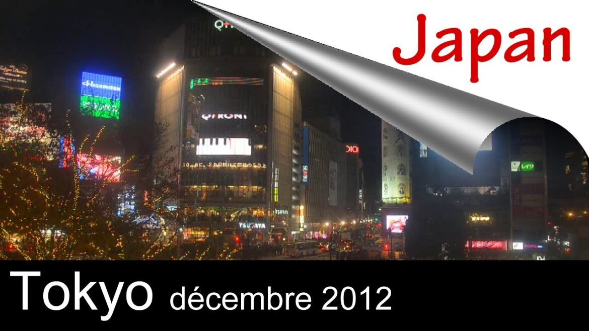 Tokyo, décembre 2012 Tokyo Trip / Trip to Japan Tokyo, décembre 2012 Tokyo Trip / Trip to Japan