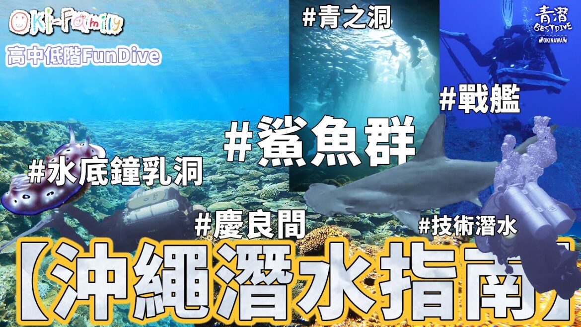 最全面【沖繩潛水指南】東南西北,高中低階 全攻略 #青之洞 #沉船 #戰艦 #慶良間 #鯊魚群 #海兔 #花園鰻 #技術潛水 (中文字幕2) Ft. @katelamlokyee 最全面【沖繩潛水指南】東南西北,高中低階 全攻略 #青之洞 #沉船 #戰艦 #慶良間 #鯊魚群 #海兔 #花園鰻 #技術潛水 (中文字幕2) Ft. @katelamlokyee