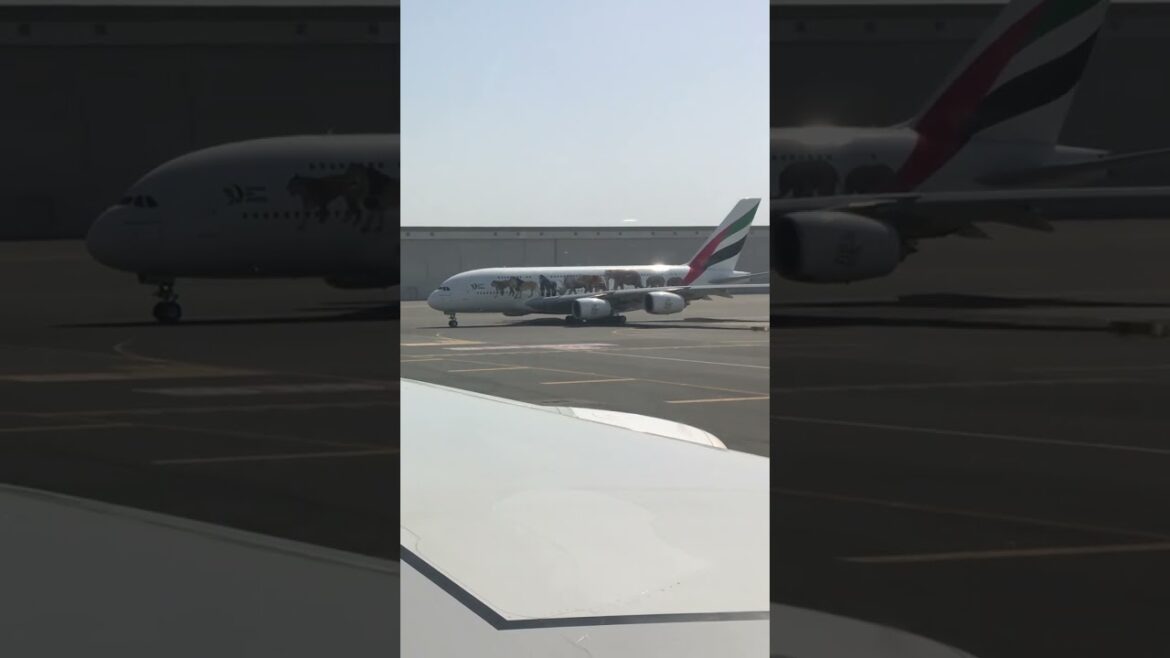 Emirates A380 Animals Livery #shorts