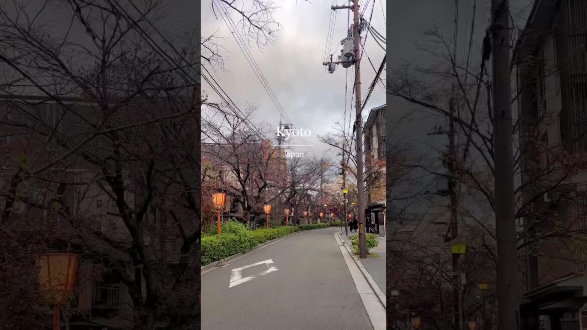 스윗에밀리 in 교토 / Kyoto, Japan
