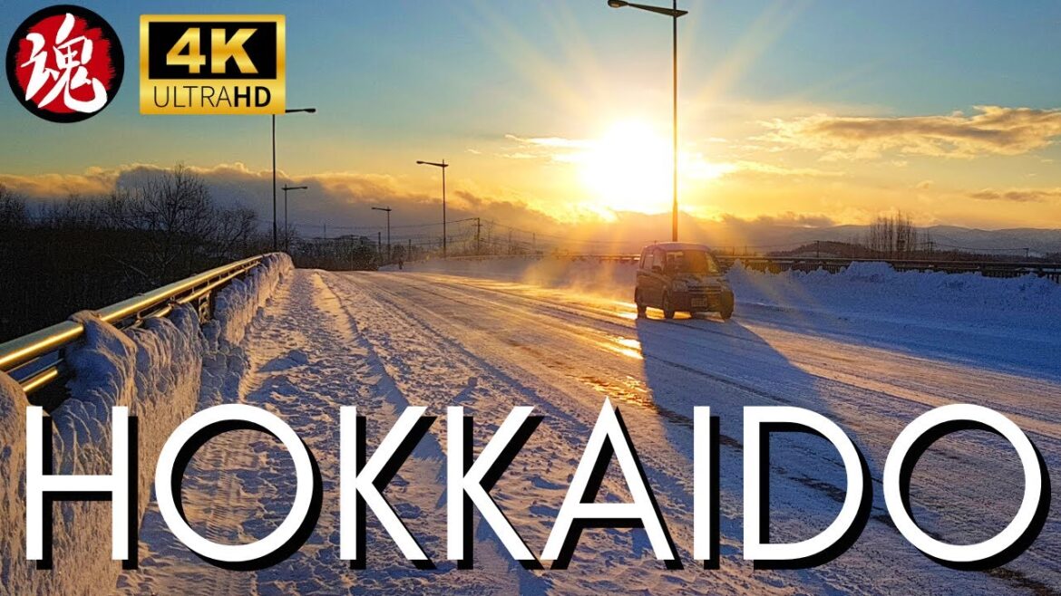 Winter Afternoon Walk In Freezing Japan | Higashikawa Hokkaido Winter Afternoon Walk In Freezing Japan | Higashikawa Hokkaido