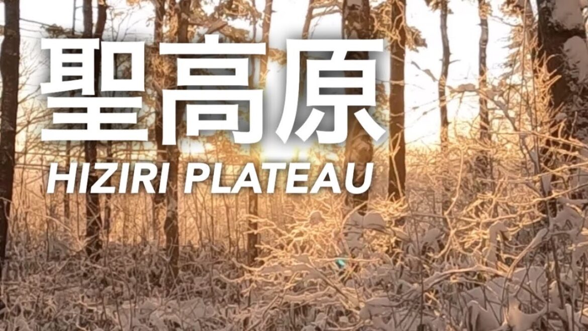 聖高原雪の朝Hijiri Kogen snow morning