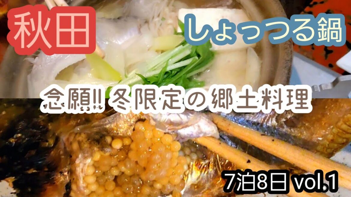 【秋田】しょっつる鍋/念願!!冬限定の郷土料理/7泊8日vol.1
