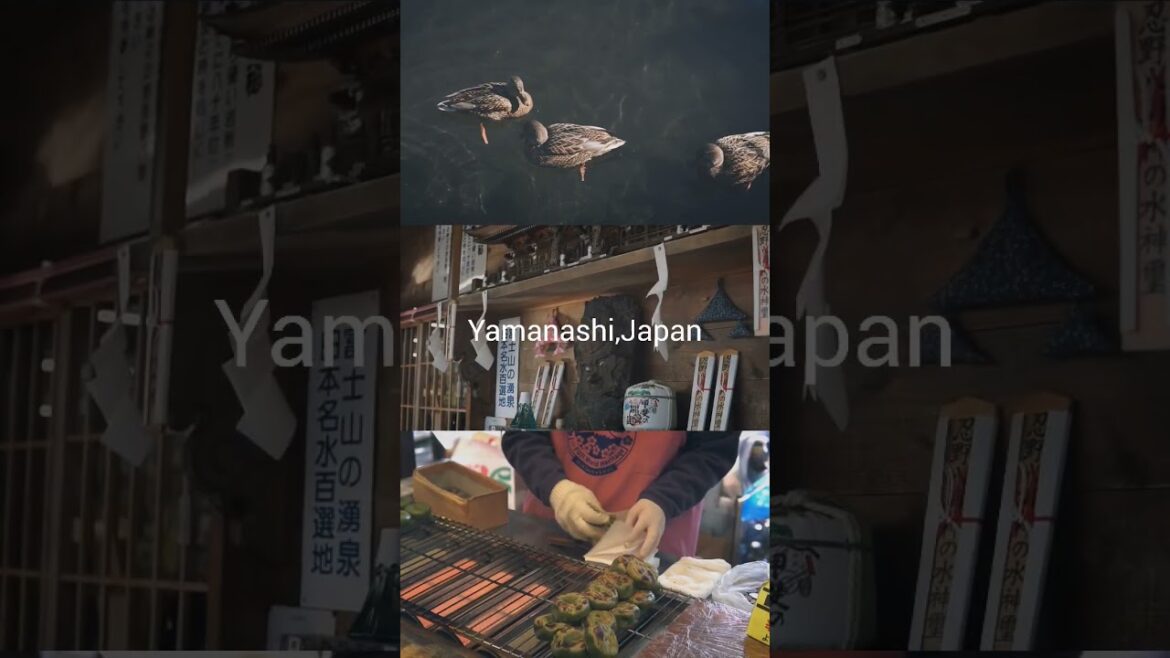 Oshino Hakkai with Mt.Fuji 🗾🗻 .Amazing clear spirit 8 ponds.#oshinohakkai#yamashita#japan#mtfuji