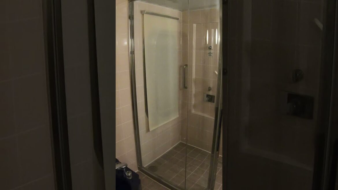 【4K】Board a suite room on a large ferry😆 #shorts