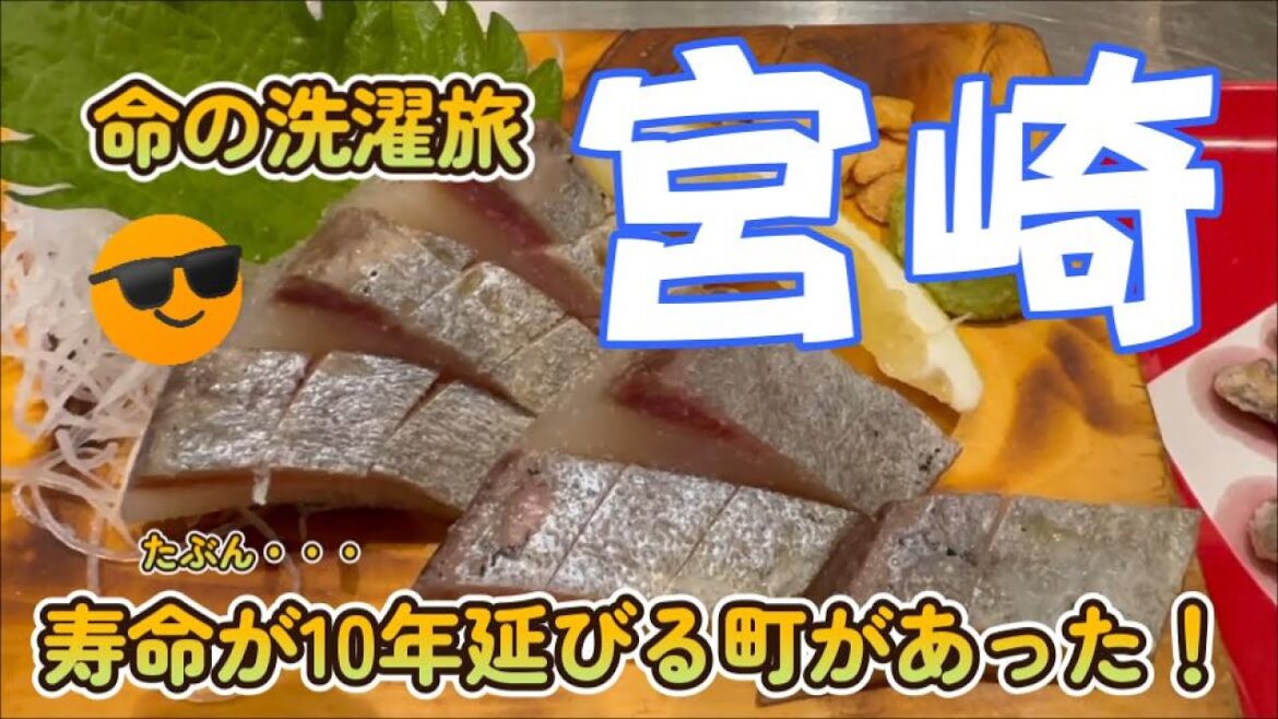 お散歩グルメ旅ガイド・寿命が10年延びる町を1泊2日で堪能・宮崎 観光&グルメ堪能ツアー】This is a gourmet sightseeing tour in MIYAZAKI JAPAN お散歩グルメ旅ガイド・寿命が10年延びる町を1泊2日で堪能・宮崎 観光&グルメ堪能ツアー】This is a gourmet sightseeing tour in MIYAZAKI JAPAN