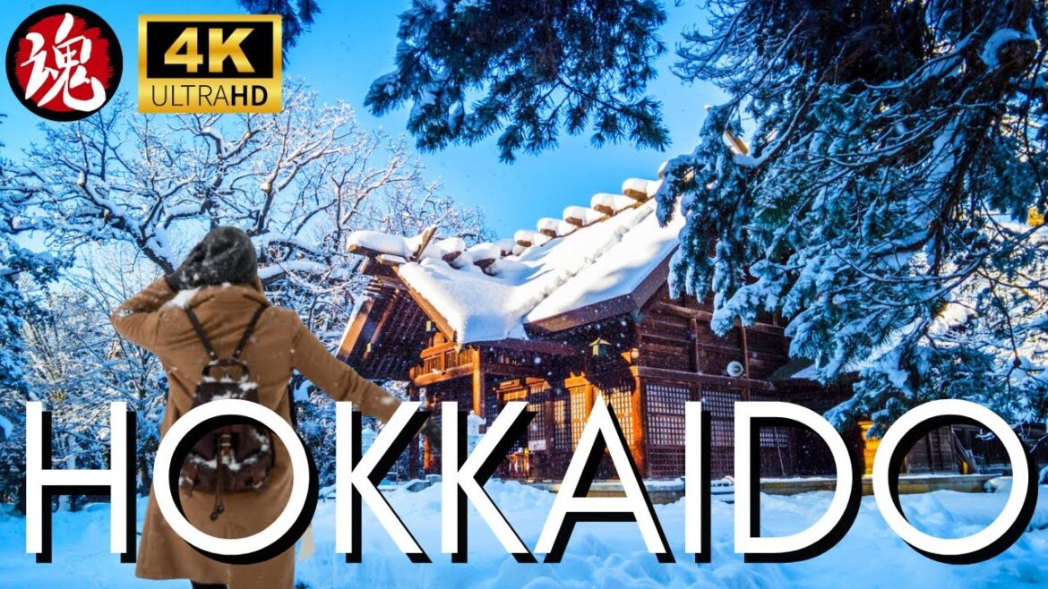 Snowy Walk In A Japanese Shrine | Higashikawa Hokkaido