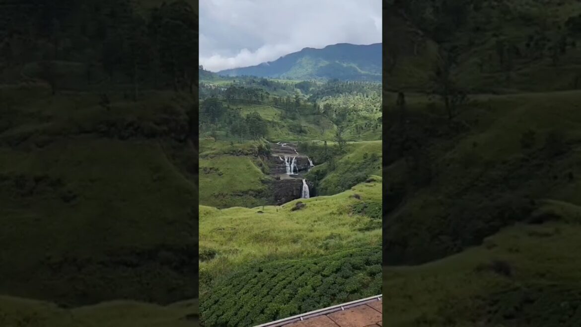 travel places mountains tour❤️ sri lanka #shorts #youtubeshorts #vairal travel places mountains tour❤️ sri lanka #shorts #youtubeshorts #vairal