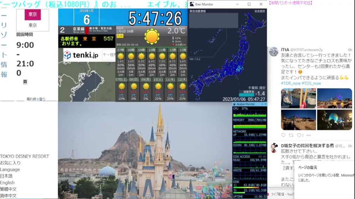 【 ディズニーライブカメラ  DisneyLiveCam 】 ディズニー・ライト・ザ・ナイト ライナイ 花火 舞浜 浦安 天気 地震 鉄道 飛行機 現地情報 ディズニーランド ディズニーシー