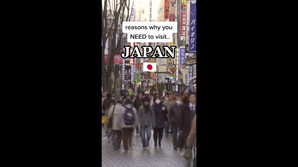 WINE BATH IN JAPAN? 😱 Reasons to Visit Japan 🇯🇵 WINE BATH IN JAPAN? 😱 Reasons to Visit Japan 🇯🇵