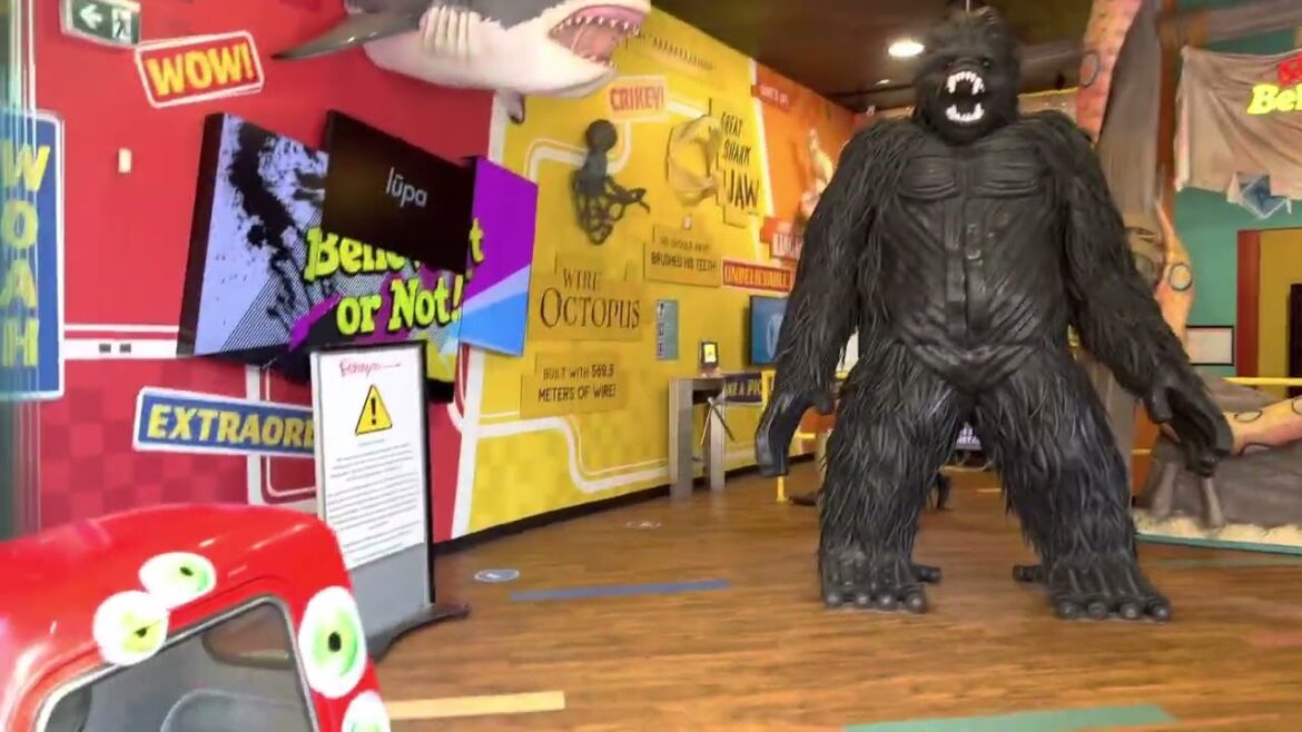 Walking Tour at Surfers Paradise a City of Gold Coast | QLD | Australia Walking Tour at Surfers Paradise a City of Gold Coast | QLD | Australia